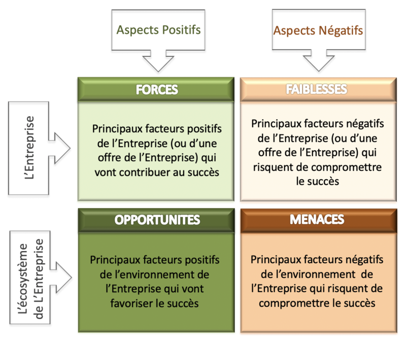 L Analyse SWOT EXPERLIGENCE